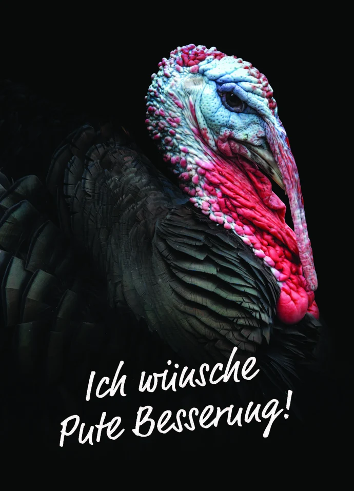 Citycard mit einer Pute. Dazu der Text »Ich wünsche Pute Besserung!«