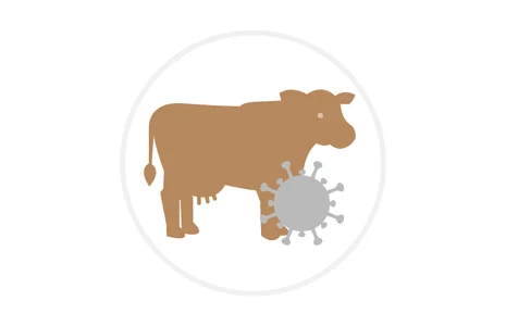Icon: stilisierte Milchkuh, daneben Icon eines Virus