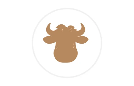 Icon: Stilisierter Büffelkopf von vorne