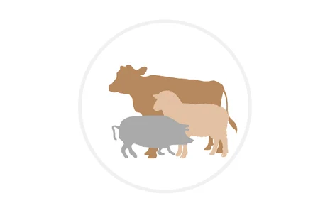 Icon: Stilisierte Kuh mit Schaf und Schwein im Hintergrund