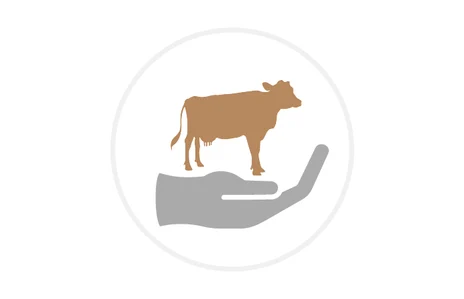 Icon: Stilisierte Hand hält eine Kuh