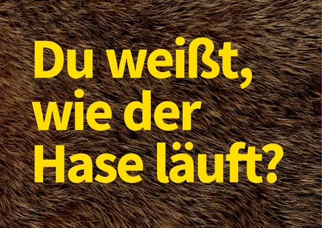 Hintergrund: Ausschnitt des Fells eines Hasen, braun, strukturiert. Großer, gelber Text: Du weißt, wie der Hase läuft?