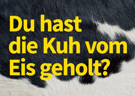 Hintergrund: Ausschnitt des Fells einer Kuh (schwarz-weiß gefleckt). Großer, gelber Text: „Du hast die Kuh vom Eis geholt?“