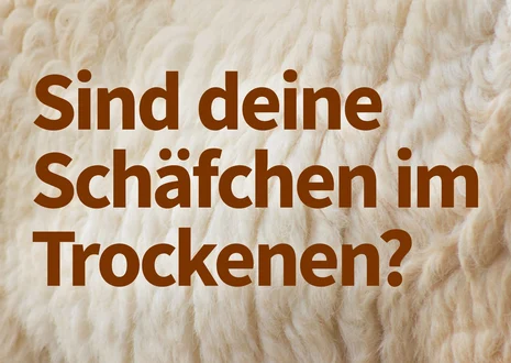 Hintergrund: Ausschnitt der Wolle eines Schafs (beige, fein strukturiert). Großer, brauner Text: „Sind deine Schafe im Trockenen?“ (Frageform).