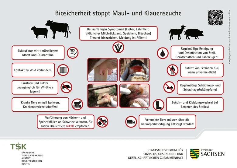 Aushang A4 »Biosicherheit stoppt Maul- und Klauenseuche«