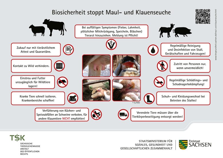 Aushang A4 »Biosicherheit stoppt Maul- und Klauenseuche«