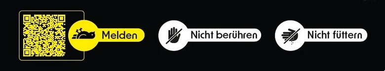 Das Bild zeigt drei Symbole auf schwarzem Hintergrund: einen QR-Code mit »Melden«, eine Hand mit »Nicht berühren« und Futter mit »Nicht füttern«. Ziel: Vorsichtsmaßnahmen vermitteln.