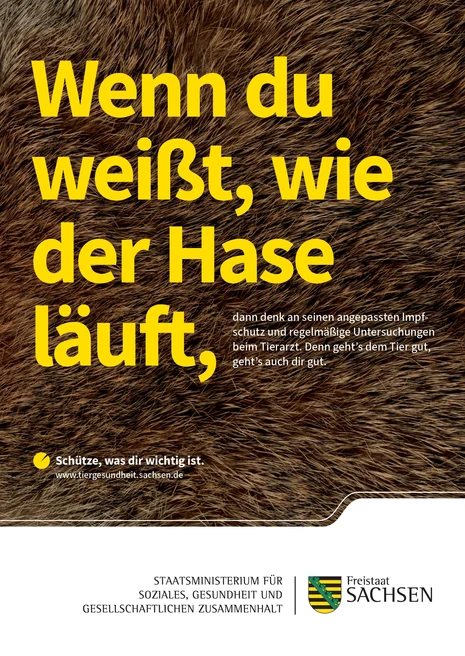 Informationsgrafik: Wenn du weißt, wie der Hase läuft, denk an Impfschutz und regelmäßige Tierarztbesuche für Hasen.