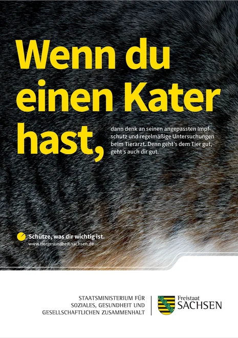 Informationsgrafik: Wenn du einen Kater hast, denk an Impfschutz und regelmäßige Tierarztbesuche. Schütze, was dir wichtig ist.