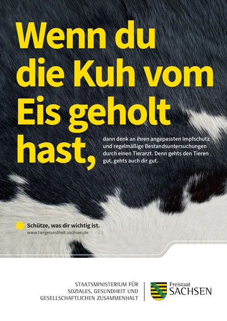 Informationsgrafik: Wenn du die Kuh vom Eis geholt hast, denk an Impfschutz und regelmäßige Tierarztbesuche.