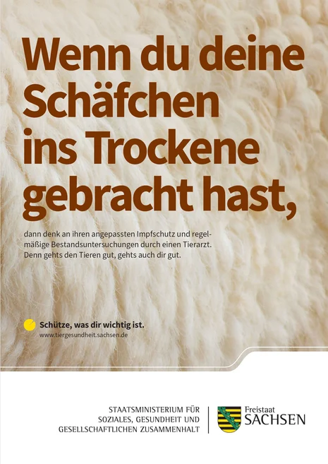 Informationsgrafik: Wenn du deine Schafe ins Trockene gebracht hast, denk an Impfschutz und regelmäßige Tierarztbesuche.