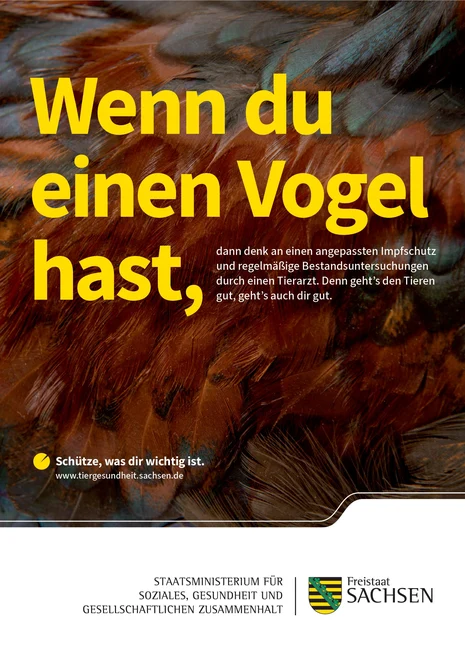 Informationsgrafik: Wenn du einen Vogel hast, denk an Impfschutz und regelmäßige Tierarztbesuche.