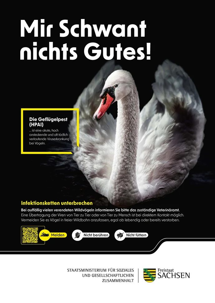 Das Bild zeigt das Kampagnen-Plakat mit einem Schwan. Der Text »Mir Schwant nichts Gutes!« warnt vor Geflügelpest (HPAI). Symbole dazu: »Nicht berühren«, »Nicht füttern«, »Melden« per QR-Code.
