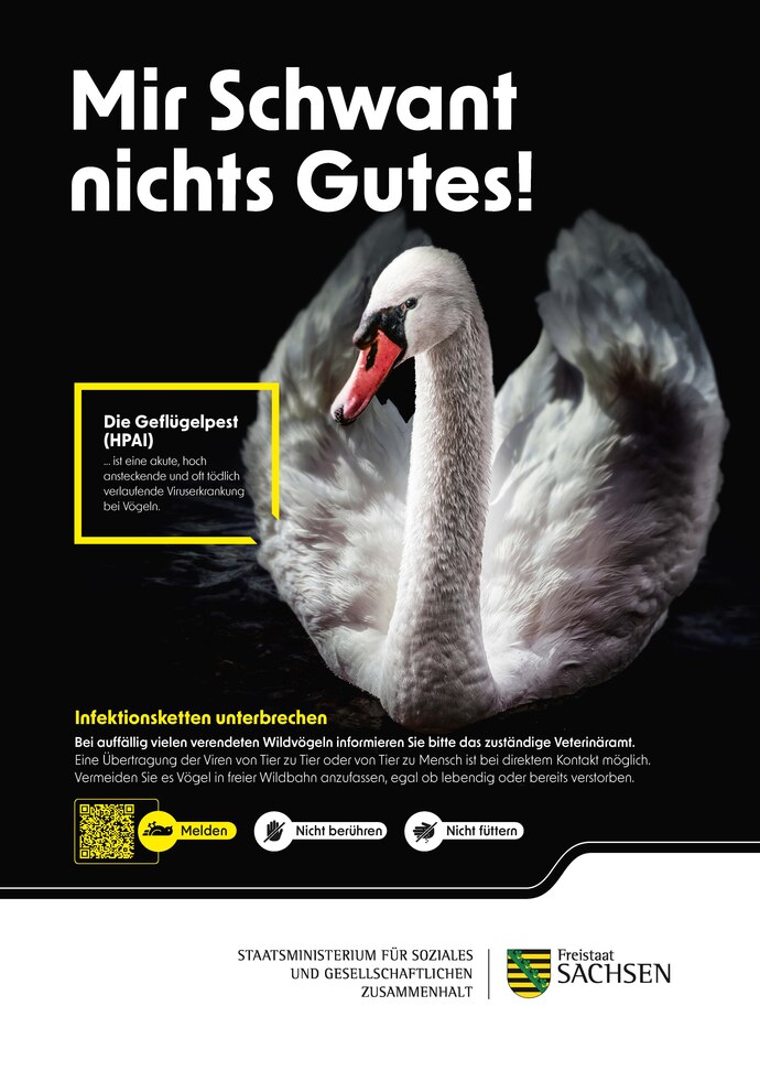 Das Bild zeigt das Kampagnen-Plakat mit einem Schwan. Der Text »Mir Schwant nichts Gutes!« warnt vor Geflügelpest (HPAI). Symbole dazu: »Nicht berühren«, »Nicht füttern«, »Melden« per QR-Code.