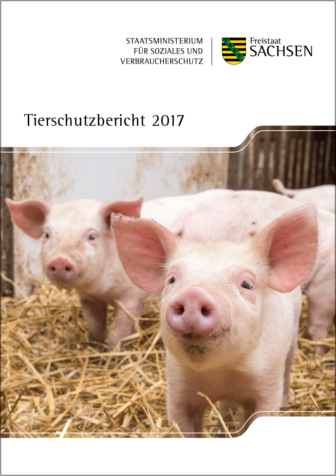 Cover des Tierschutzberichts: Zu sehen sind zwei Schweine, die im Stroh stehen.