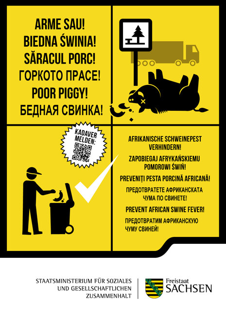 Kampagnenmotiv zur Afrikanischen Schweinepest »Fernfahrer« 