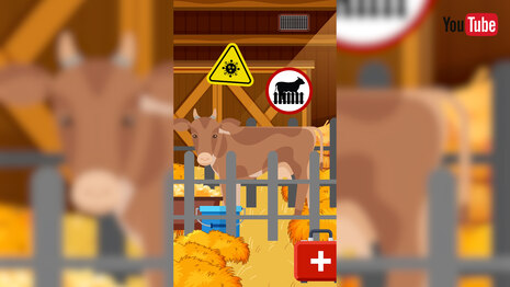 Vorschaubild zur Erklärstory Maul- und Klauenseuche (MKS)