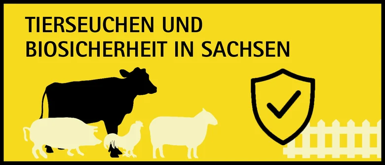 Gelb-schwarzes Motiv. Darauf die Überschrift "Tierseuchen und Biosicherheit in Sachsen". Darunter eine Kuh, Schwein, Huhn, Schaf und ein Zaun.