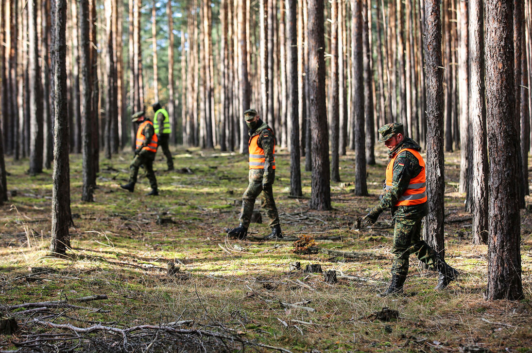 Fallwildsuche im Wald: Vier Männer einer Suchstaffel schreiten ein Waldstück ab und suchen nach Wildschweinkadavern.