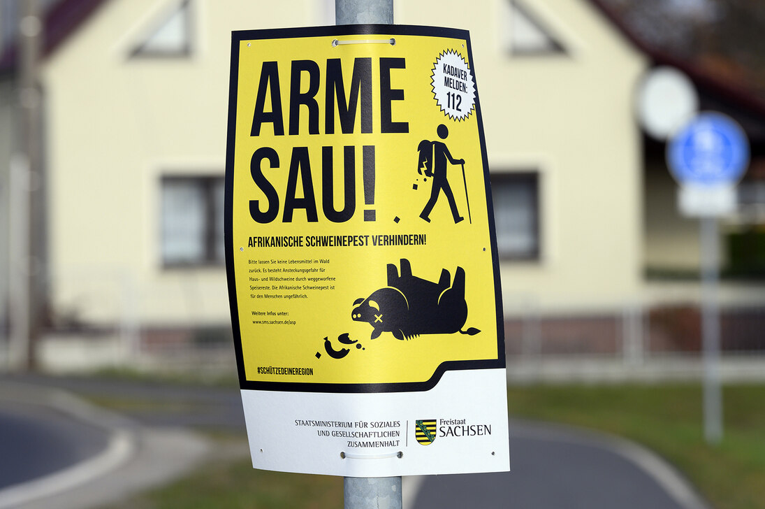 Ein Werbeplakat des SMS mit der plakativen Aufschrift &quot;Arme Sau!&quot; hängt an einem Verkehrsschildpfosten an einer Straße mit Fußweg. Im Hintergrund ist ein Wohnhaus zu sehen