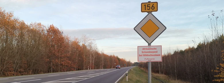 Warnschild an Straße Afrikanische Schweinepest
