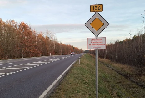 Warnschild an Straße Afrikanische Schweinepest