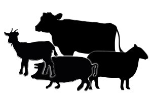 Grafische Darstellungen von Kuh, Schwein, Schaf und Ziege